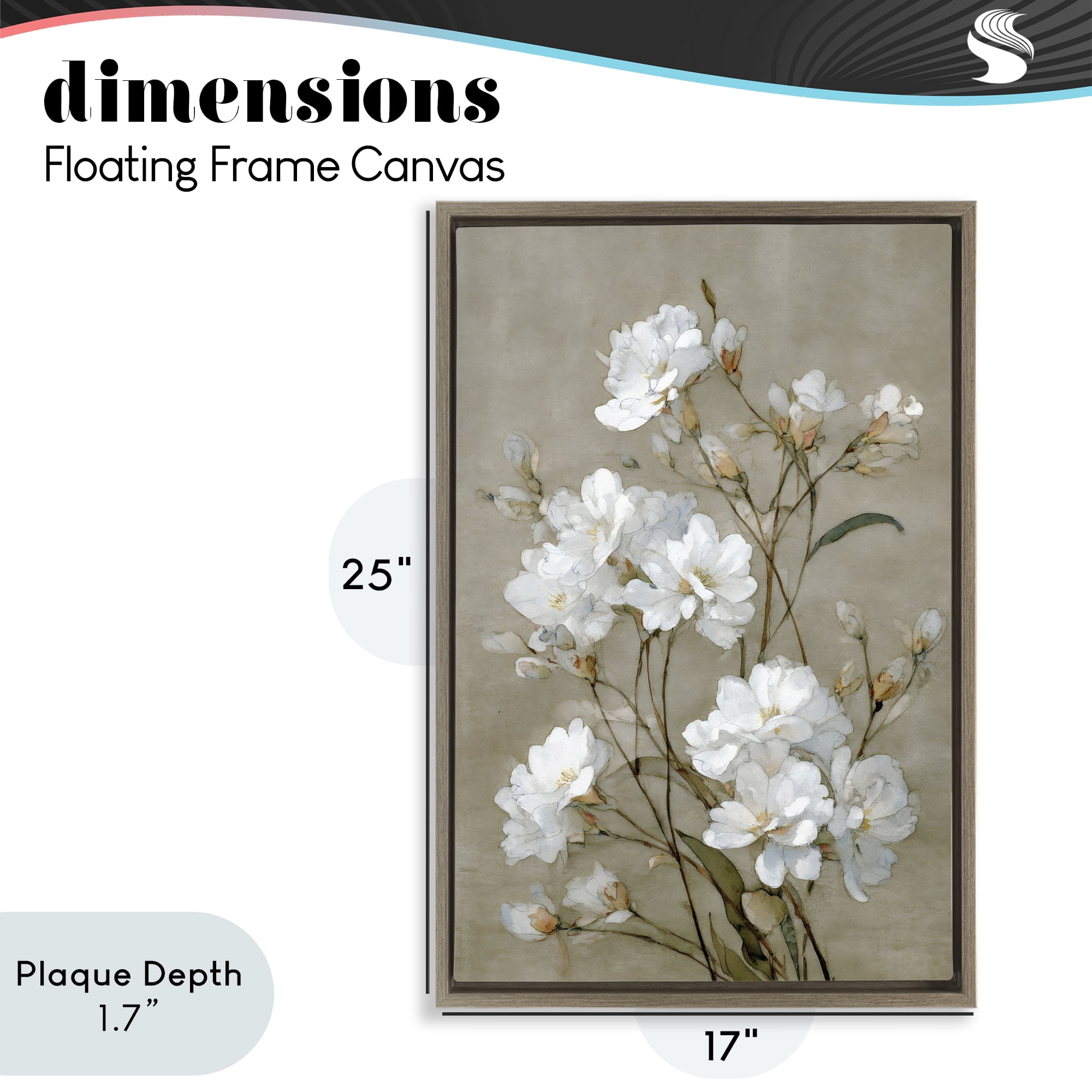 Stupell Industries Aged White Botanical Study Brown Framed Floater Canvas Wall Art, design by Petal Prints Design
