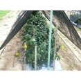 thumbnail image 6 of Agfabric 60% Shade Cloth Sunblock Fabric Cut Edge with Free Cilps UV Resistant for Garden Plants Cover, Black, 12 x 16ft, 6 of 7