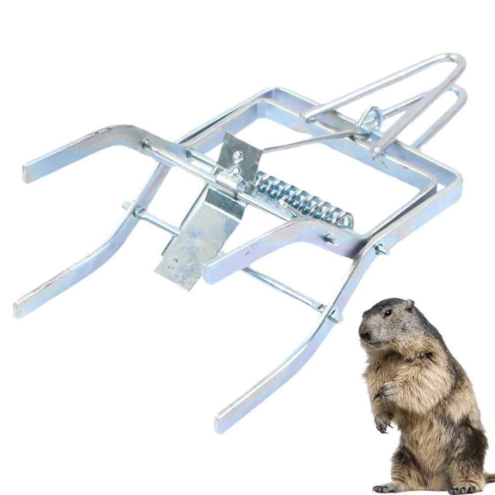 Heavy Duty Mole Traps for Lawns - Galvanized Steel Gopher Traps with Sensitive Trigger - Reusable & Weatherproof Vole Control for Garden and Farm