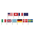 thumbnail image 2 of The Beistle Company 60108 Pics Drapeaux Internationaux (Lot de 12), 2 of 2