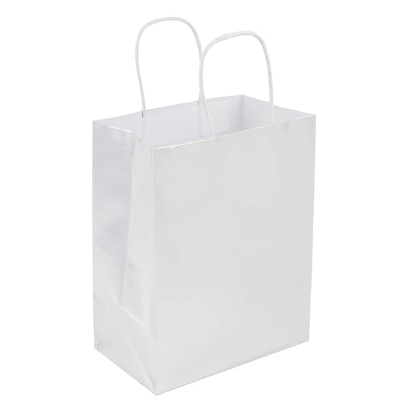 Medium Silver Gift Bags by Celebrate It – 8"x4.75"x10" Paper & Plastic Gift Bags for Holidays - Birthdays & Special Events - 6 Pack