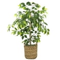 thumbnail image 4 of LCG Florals Artificial Tree, Ficus Tree, 4 ft, Woven Rattan Handled Basket, 4 of 7
