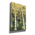 thumbnail image 2 of Epic Graffiti 'Birch Treeline III' by Jade Reynolds, Canvas Wall Art, 40"x60", 2 of 2