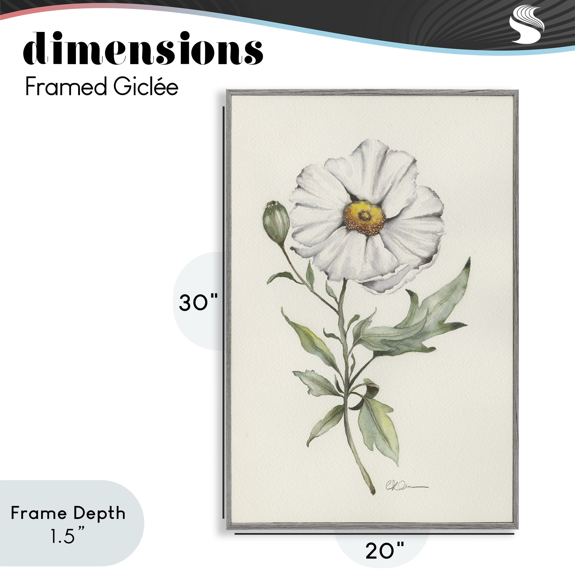 Stupell Industries Natural Wild Blossom Sprig Gray Framed Giclee Art, design by Cady Driver