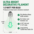 thumbnail image 2 of Festive Living LED Green Christmas Tree Decorative Filament Light Bulb, G80 Globe, Medium E26 Base, 1W, Clear Glass, Indoor/Outdoor Holiday String Light Replacement – 1 Pack, 2 of 6