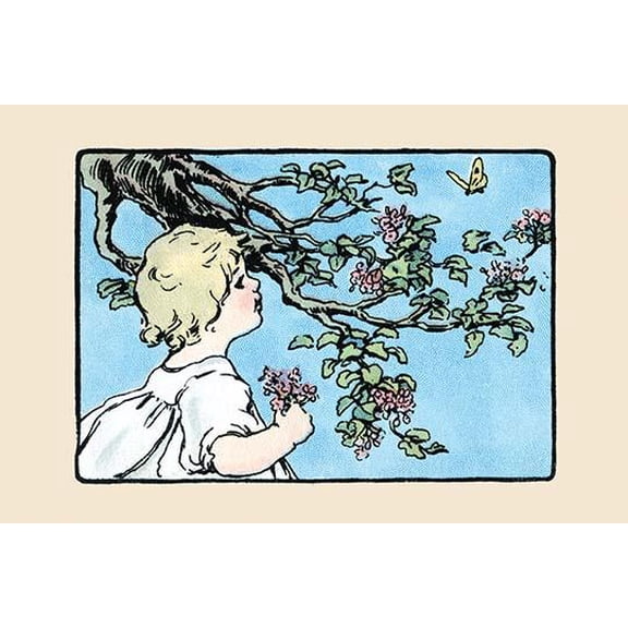 Big Butterfly-Fine Art Canvas Print (20" x 30")