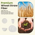 thumbnail image 4 of Homienly 40-Piece Wheat Straw Dinnerware Set, Service for 8, Round Plates, Bowls & Cups, Microwave & Dishwasher Safe, White, 4 of 8