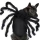 thumbnail image 1 of Halloween Dog Cat Costume Furry Giant Simulation Spider Pet Costume Role Playing Halloween Pet Accessories Dog Cat Decorations, 1 of 5
