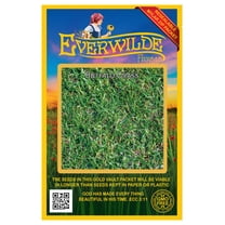Everwilde Farms Buffalo Grass Seeds, 0.1 lbs - Thick Growing Grass