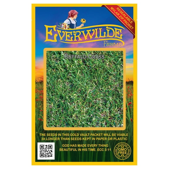 Everwilde Farms Buffalo Grass Seeds, 0.1 lbs - Thick Growing Grass