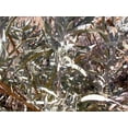thumbnail image 4 of 100 SILVER SAGEBRUSH Artemisia Cana Dwarf Sagebrush Silver Wormwood Herb Flower Seeds, 4 of 10