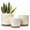 White, variant on YFFSRJDJ Indoor Plant Pots for Plants, Ceramic Planter with Drainage Hole, 6.0 inch+5.0 Inch+4.0 Inch. Succulent Orchid Flower Pot - Rainbow Pearl Glaze