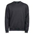 thumbnail image 1 of Tee Jays Mens Sweatshirt, 1 of 1