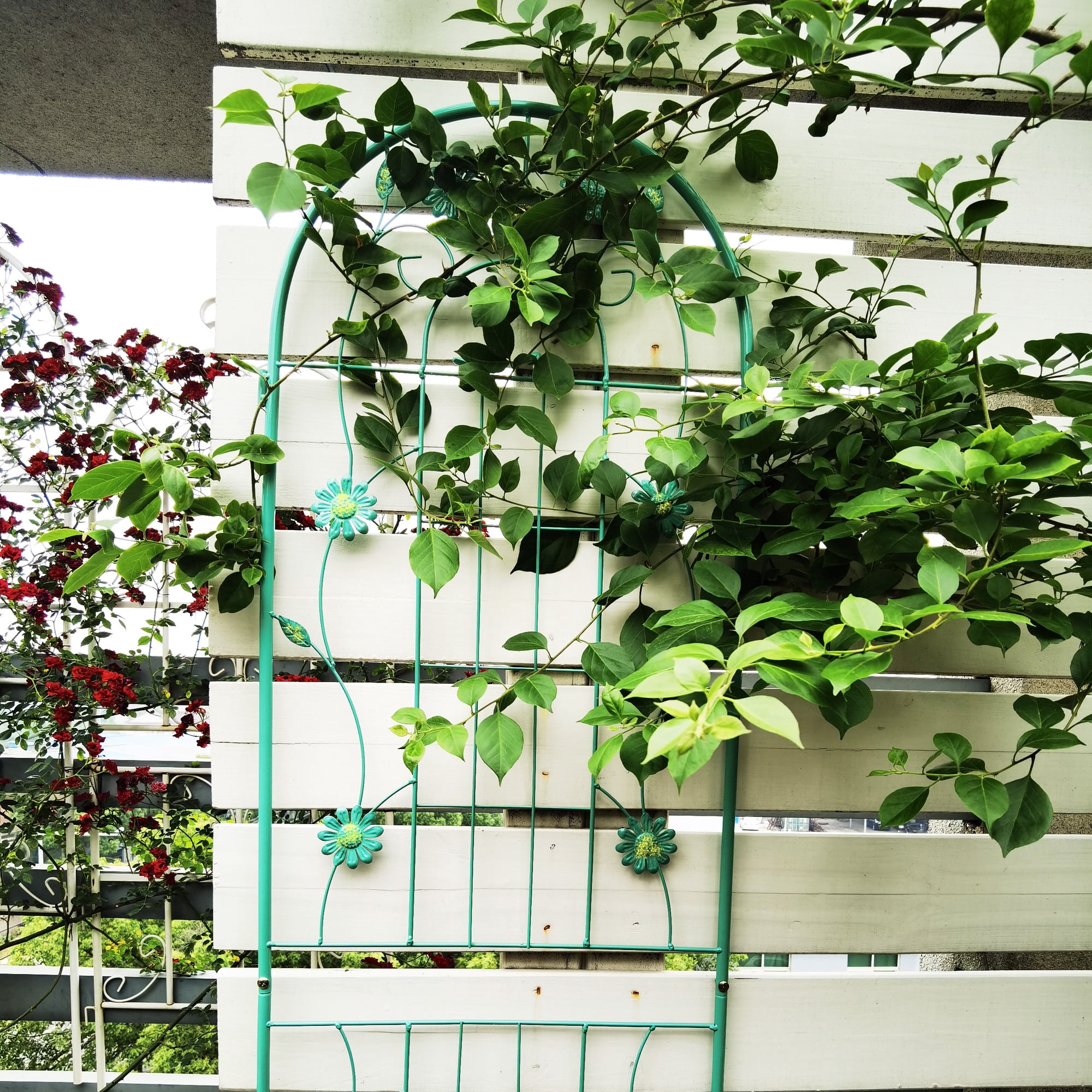 MAYEERTY 4 Pack Metal Garden Trellis 71 x 19.7 Inch Rustproof Climbing Plants Support Green Outdoor Flower