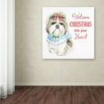 thumbnail image 3 of Trademark Fine Art "Glamour Pups Christmas II" Canvas Art by Beth Grove, 3 of 3