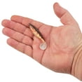 thumbnail image 3 of PowerBait® The Champ Swimmer, 3 of 4