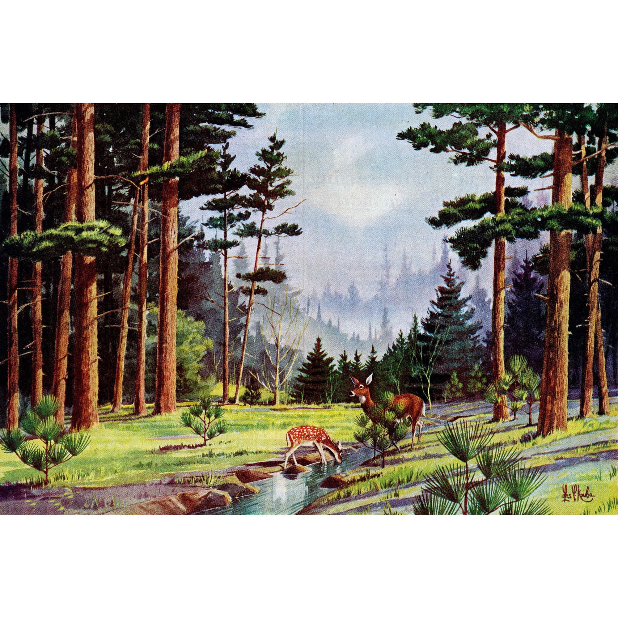 "Minnesota Woods" Painting Print on Wrapped Canvas