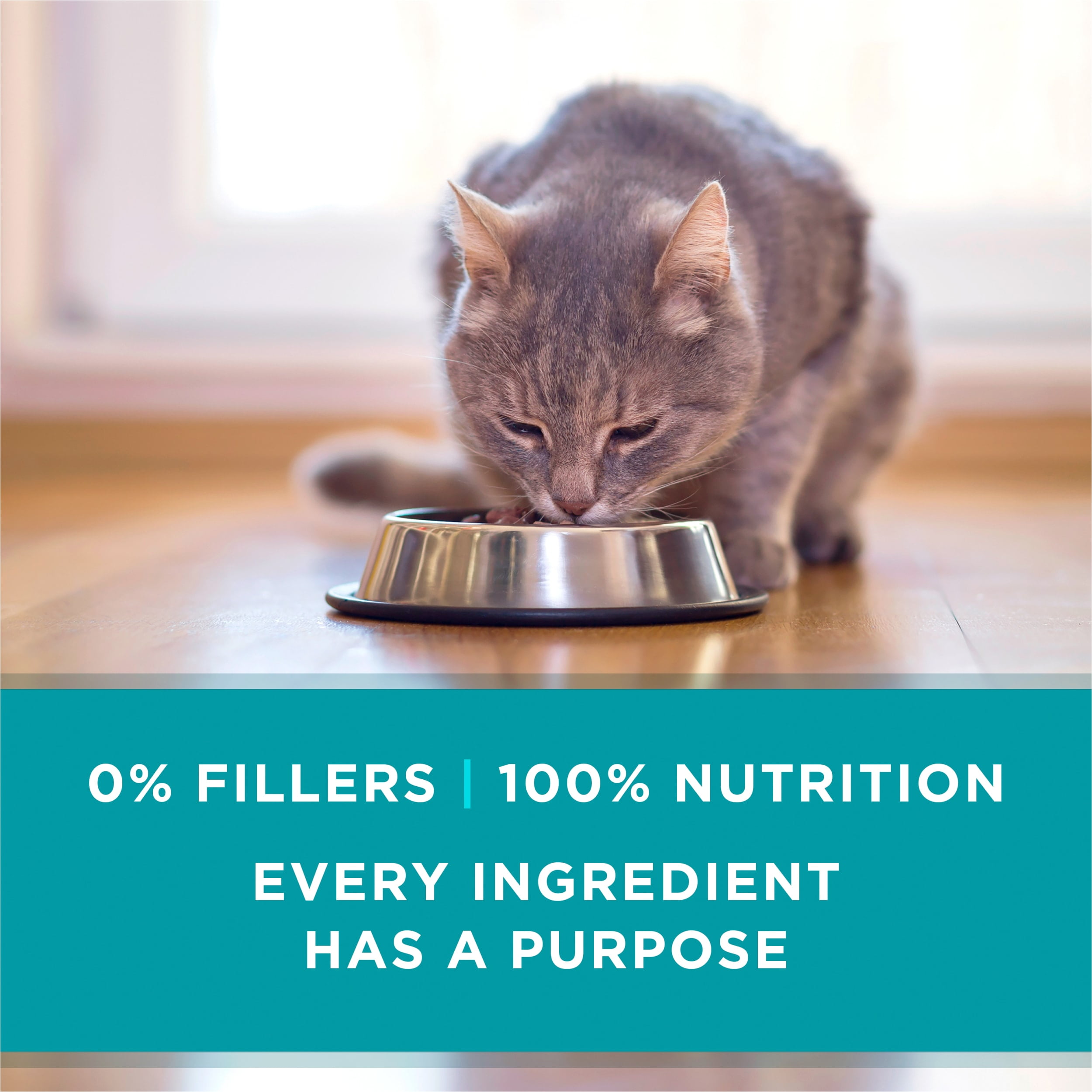 Purina ONE Pate, Natural Grain Free, Wet Cat Food, Oceanwhite Fish, 3 oz Can