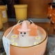 thumbnail image 5 of Vela fantasma,cupcakes novedosos y vela de cementerio de cachemira,vela perfumada de Halloween que has sido fantasma, 5 of 5