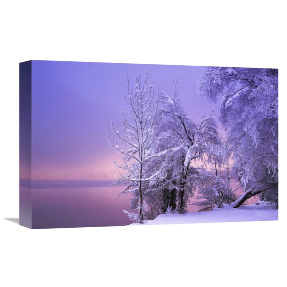Global Gallery Norbert Maier 'Stillness' Canvas Wall Art