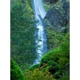 thumbnail image 2 of Wild, Jamie and Judy 25x32 Black Ornate Wood Framed with Double Matting Museum Art Print Titled - Oregon-Columbia River Gorge National Scenic Area-Starvation Creek Falls, 2 of 4