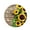 C, variant on kjfeif Sunflower Kitchen Decor Round Wall Clock 14 Inch Silent Non Ticking Battery Operated Wood Clock for Women, Men, Boys & Girls Kids and Adults, Reusable, Party Supplies