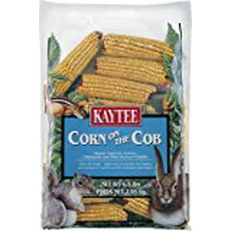 Kaytee Corn on the Cob Squirrel and Critter Food, 6.5