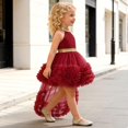 thumbnail image 7 of ATOGUTA Elegant Dresses for Girls Red Sleeveless Tulle Formal Wedding Pageant Party Fancy Princess Ball Gown Dresses 6M-4T, 7 of 7
