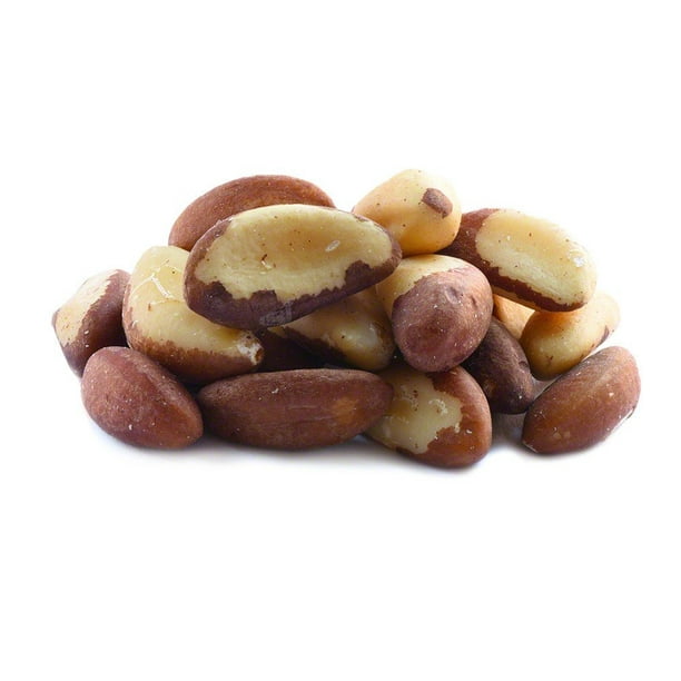 Raw Brazil Nuts — 1lb Bag of Brazil Nuts