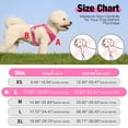 thumbnail image 6 of Jewyow No Pull Dog Harness - Dog Harness for Small Dogs,Reflective Adjustable Pet Vest with Handle & Breathable Mesh,Pink,S, 6 of 9