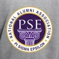 thumbnail image 3 of CafePress - Pi Sigma Epsilon National Alumni Association Sweatshirt - Pullover Hoodie, Hooded Sweatshirt, 3 of 4