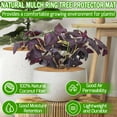 thumbnail image 4 of ZeeDix 3 Pcs Coconut Fibers Mulch Ring Tree Protector Mat, 14 Inch Coco Coir Tree Protection, Indoor/Outdoor Plant Cover, 4 of 7