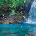 thumbnail image 5 of Orinice Waterfall Forest Blue Pool Bathroom Decor Set Polyester Fabric Fashion Shower Curtain Set with Hooks 69x72, 5 of 7