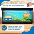 thumbnail image 2 of Clarence The Clarifier Fish | Aquarium Fresh & Saltwater Treatment Pack of 6, 2 of 9