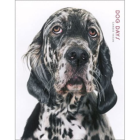 Pre-Owned Dog Days (Hardcover) 0740769197 9780740769191