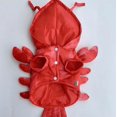 thumbnail image 5 of Lobster Novelty Pet Costume Durable Reusable Halloween Dress Up Apparel Photo Prop for Dachshund Small Medium Size Dogs XXL, 5 of 7
