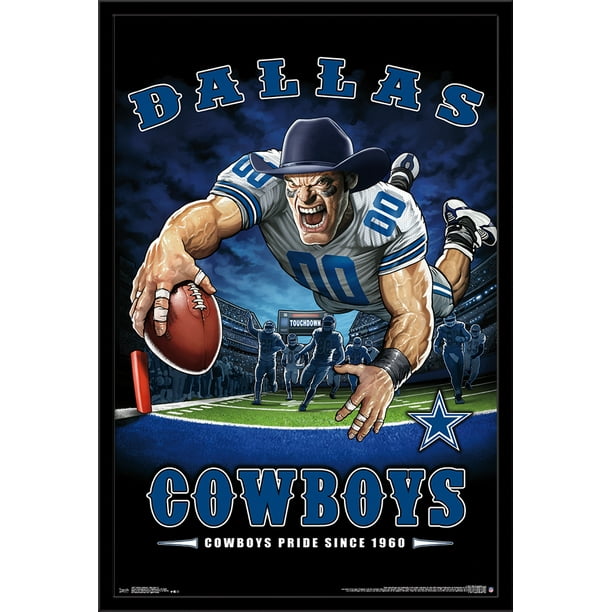 Dallas Cowboys End Zone 17