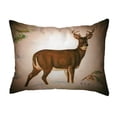 thumbnail image 1 of Betsy Drake KS236 Coussin Sans Cordon 11 x 14 Po. Buck Petit, 1 of 1