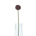 thumbnail image 3 of Hill Interiors Allium Stem Artificial Plant, 3 of 4