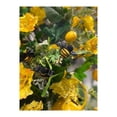 thumbnail image 3 of 30" Spring Wildflower Bee Pick, 3 of 4
