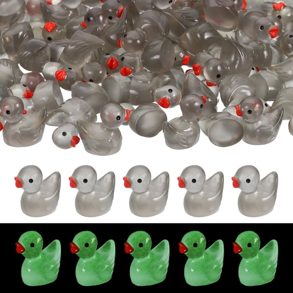 Luminous Mini Resin Ducks, Cute Glow in the Dark Tiny Ducks to Hide Miniature Figures Bulk Perfect for Dollhouse & Micro Fairy Garden & Landscape(Black, 60pcs)