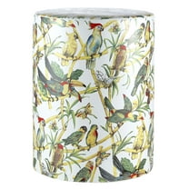 SAFAVIEH Forla 18" Coastal Animal Ceramic Garden Stool, Multi