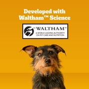 Pedigree Dentastix Dental Chews for Dogs, Small and Toy Breed, Bacon & Chicken, 17.7 oz. Bag