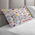 thumbnail image 2 of Cartoon Quilted Pillowcover, Animals Placed on Letter the Alphabet Chart Themed Illustration Colorful Print, Standard King Size Accent Pillow Cover for Bedroom, 36" x 20", Multicolor, by Ambesonne, 2 of 2
