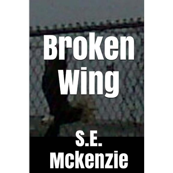 Broken Wing : And Other Poems