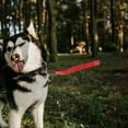 thumbnail image 3 of FESTFENDS 1Pcs Assorted Color Dog Leash for Walking and Hiking 52.27X0.98X0.39in, 3 of 8