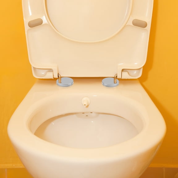 LOLIPPYY 4-Pack Stainless Steel Toilet Bolt Caps Decorative Hinge Covers for Toilet Seat, Easy to Install, Finish