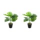 thumbnail image 3 of Planta de tortuga ecológica artificial Toystoory ABS bajo mantenimiento JH5477 2Conjunto, 3 of 6