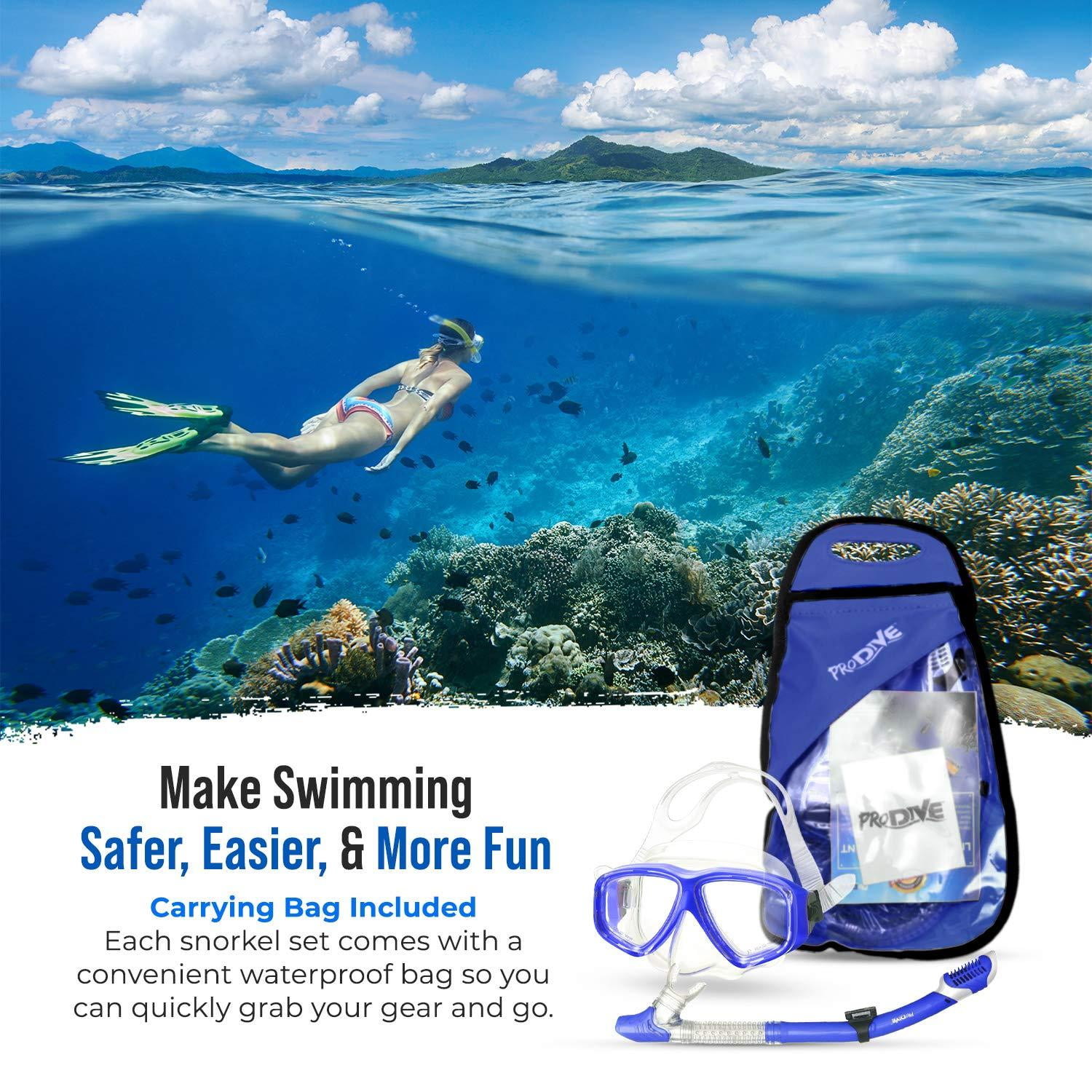 Buy ProDive Dry Top Snorkel Set with Tempered Glass Diving Mask, Watertight and AntiFog Lens