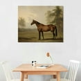 thumbnail image 2 of JEUXUS Rustic Farmhouse Wall Art Decor - Unframed Rolled Canvas 20x16in - Boho Landscape Pictures - French Country Kitchen Print Poster - Neutral Aesthetic Vintage - Horse Equine Pony, 2 of 4